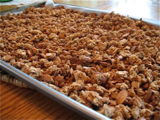 Granola #1